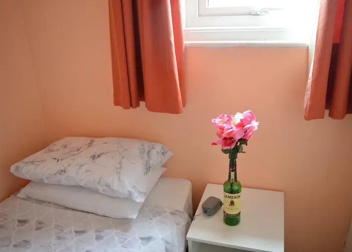 Library View ダブリン