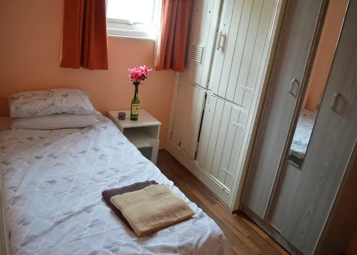 Library View